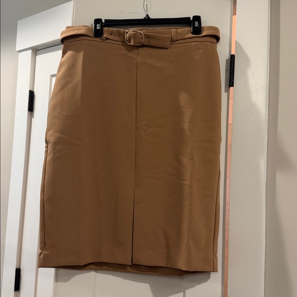 Ann Taylor Tan Pencil Skirt